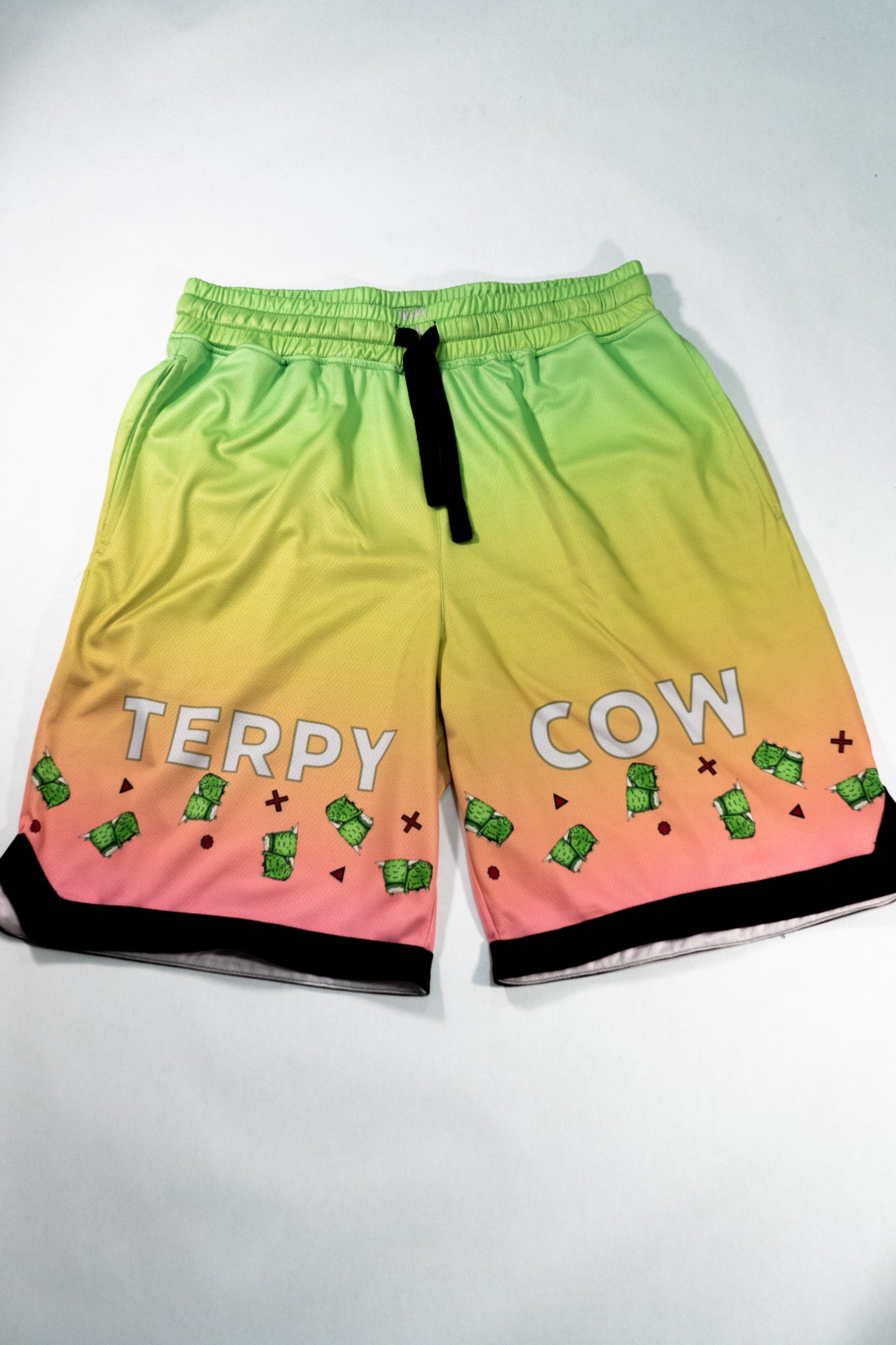 Terpy Cow Basketball Shorts