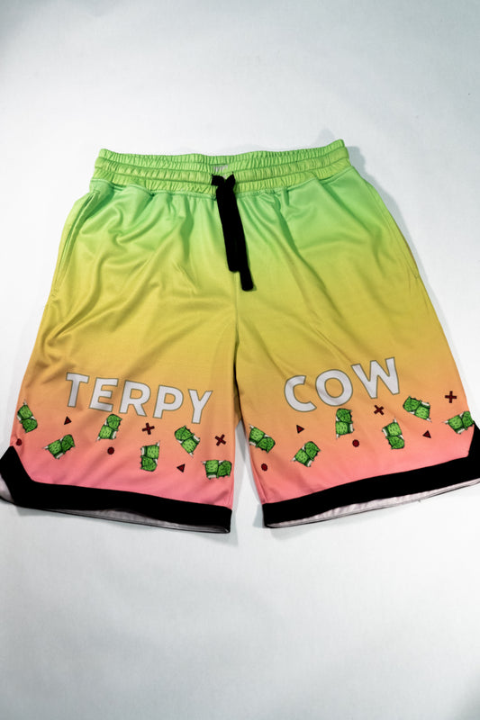 Terpy Cow Basketball Shorts